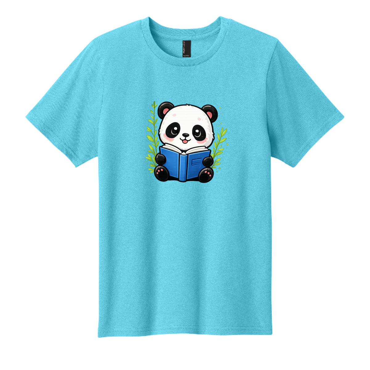 Aquatic Blue - PC43Y - FRONT